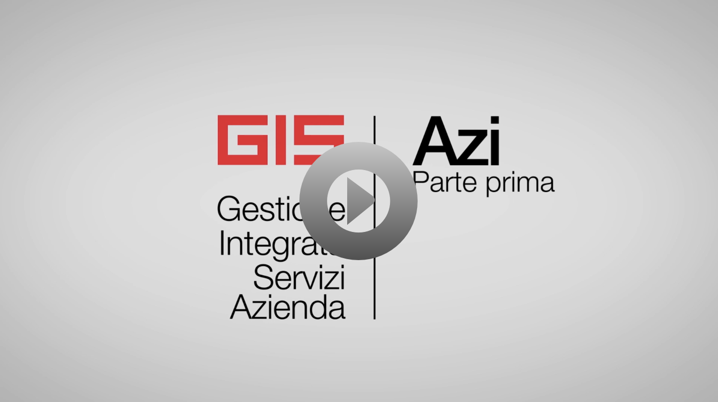 video gis software gestionale azienda