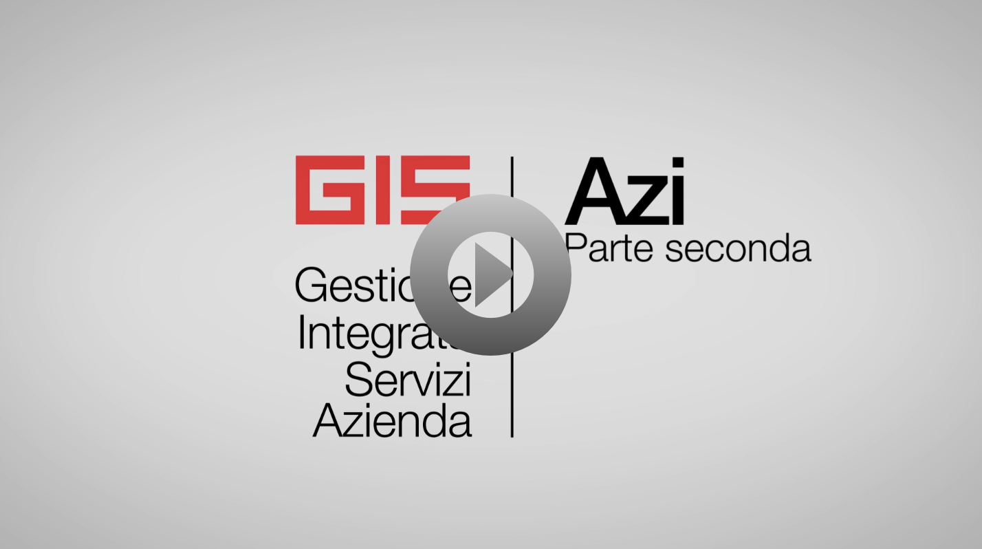 video gis azienda magazzino, vendite, acquisti e distinta base