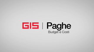 GIS Paghe - Budget e Costi